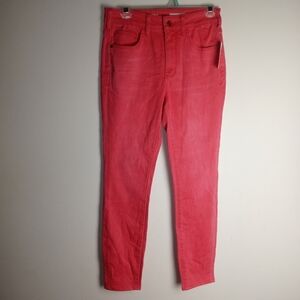 Anthropologie Pilcro High-Rise Skinny Jeans Size 28